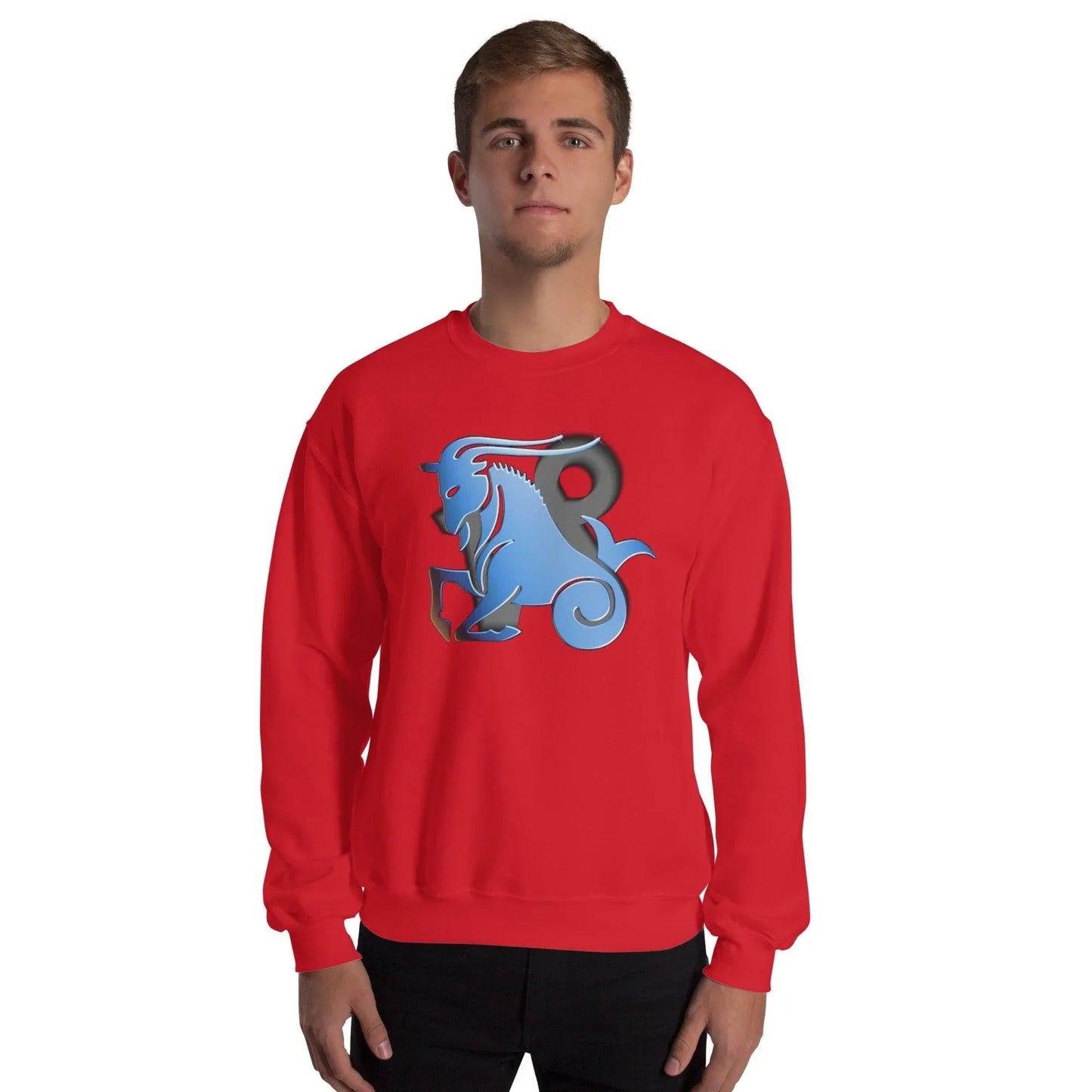 sternzeichen-steinbock-unisex-pullover-pullover-jlr-design-31528 - JLR Design