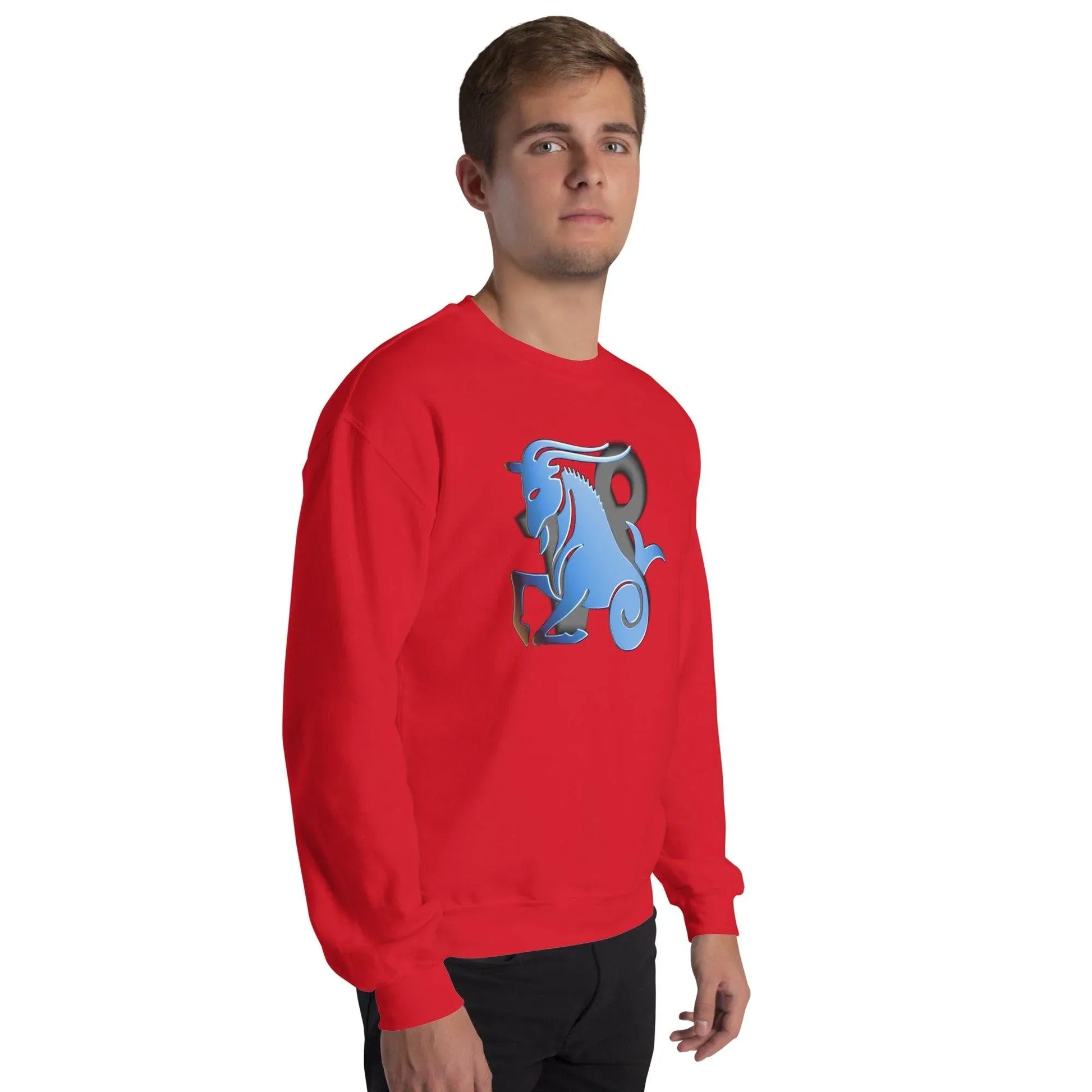 sternzeichen-steinbock-unisex-pullover-pullover-jlr-design-33946 - JLR Design