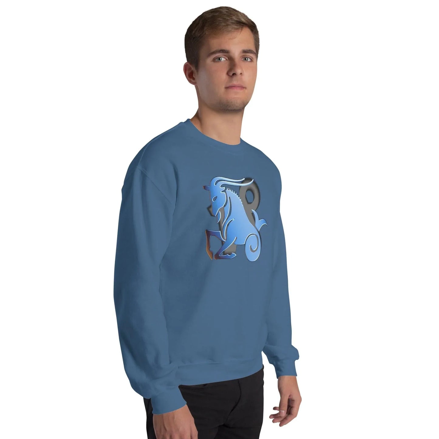 sternzeichen-steinbock-unisex-pullover-pullover-jlr-design-54268 - JLR Design