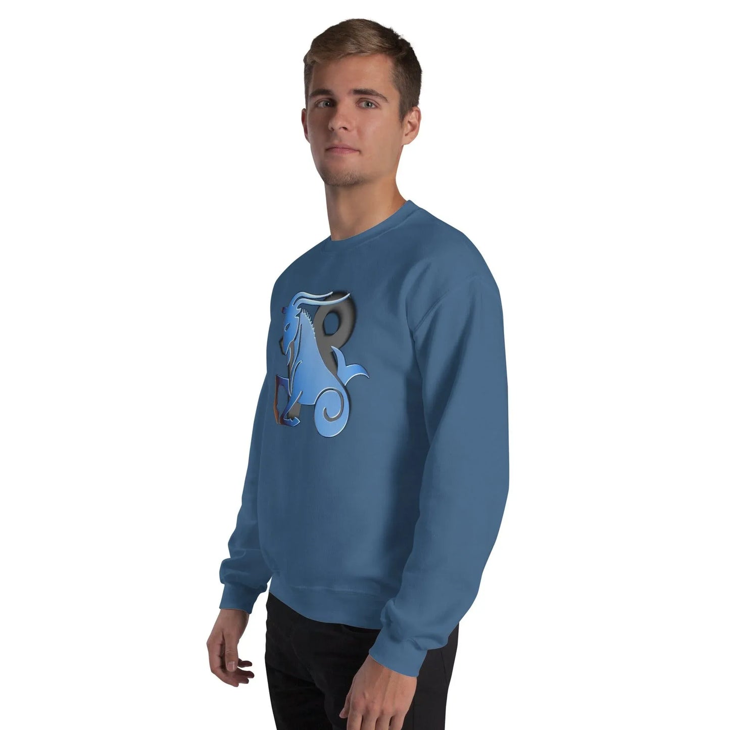 sternzeichen-steinbock-unisex-pullover-pullover-jlr-design-60665 - JLR Design
