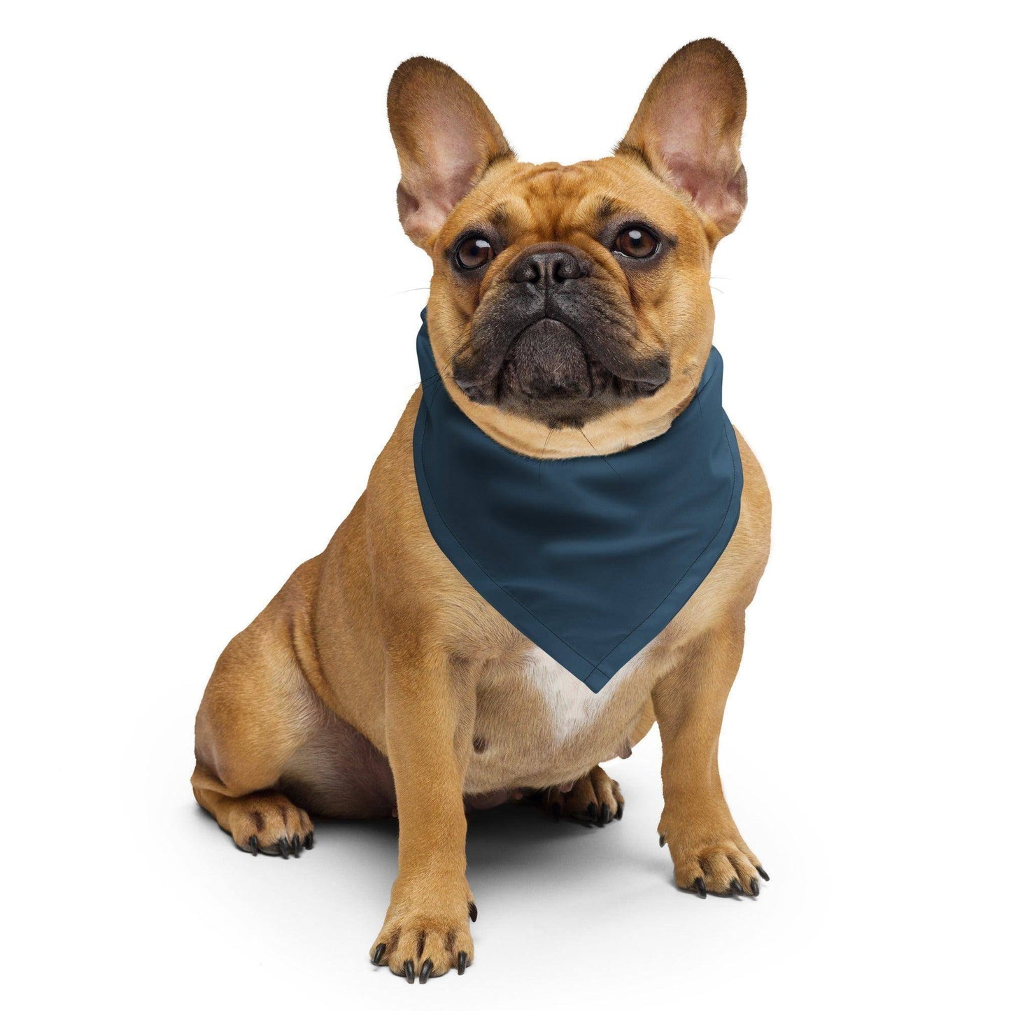 arapawa-bandana-bandana-jlr-design-1 - JLR Design