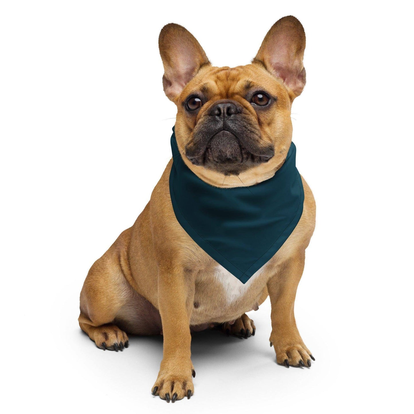 blauwal-bandana-bandana-jlr-design-4 - JLR Design