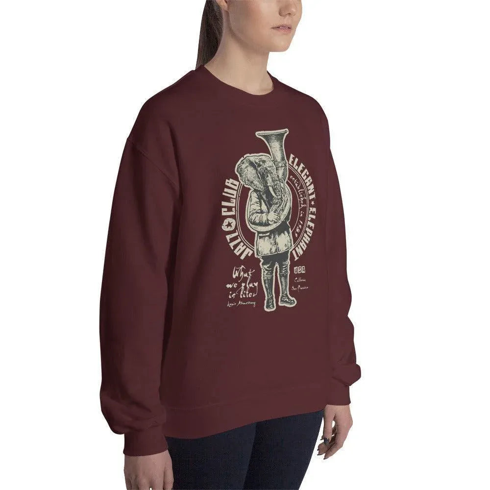 elegant-elephant-pullover-pullover-jlr-design-12 - JLR Design
