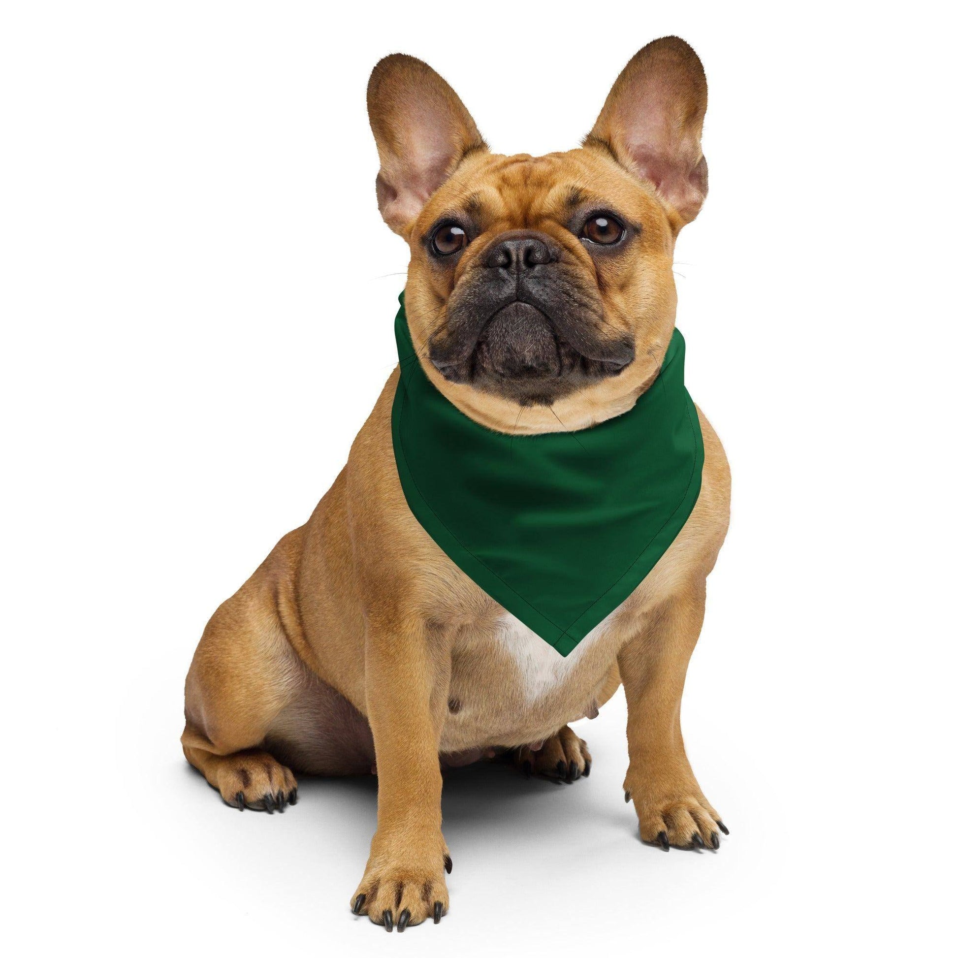 forest-green-bandana-bandana-jlr-design-1 - JLR Design