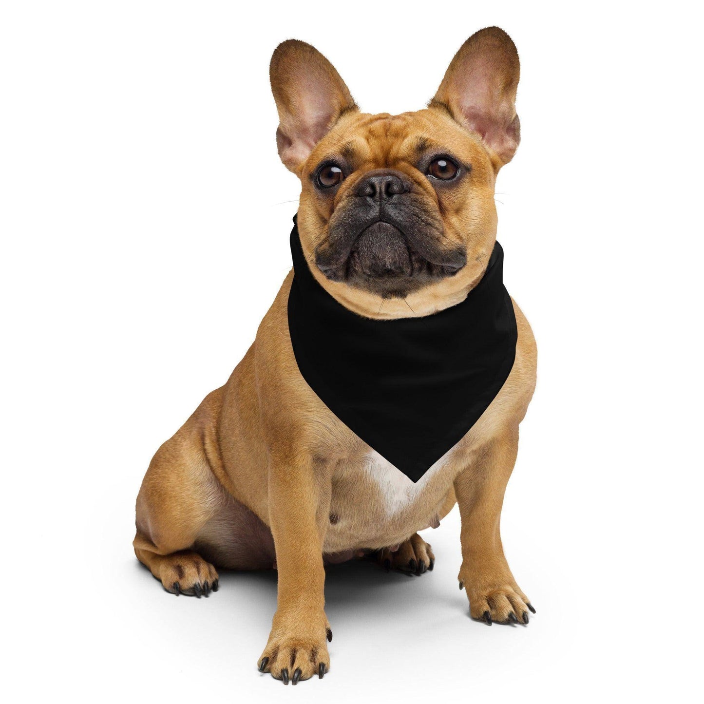 schwarzes-bandana-bandana-jlr-design-4 - JLR Design