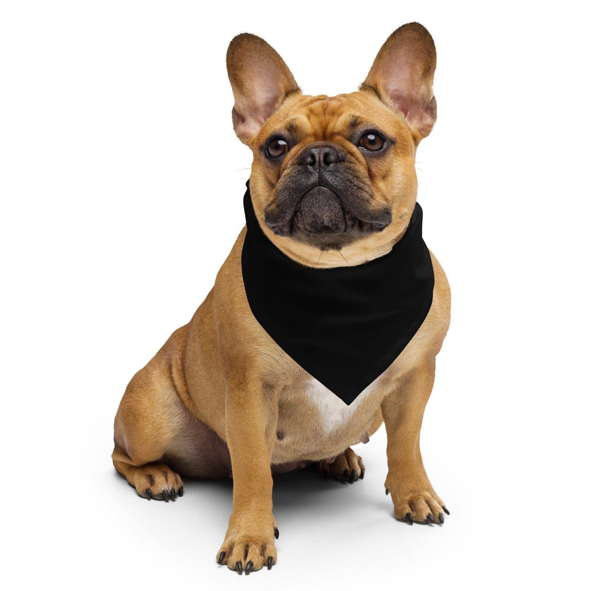schwarzes-bandana-bandana-jlr-design-4 - JLR Design
